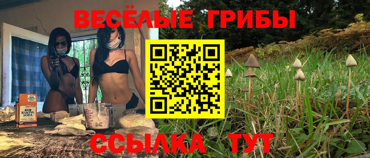 Псилоцибиновые грибы ЛСД Черногорск