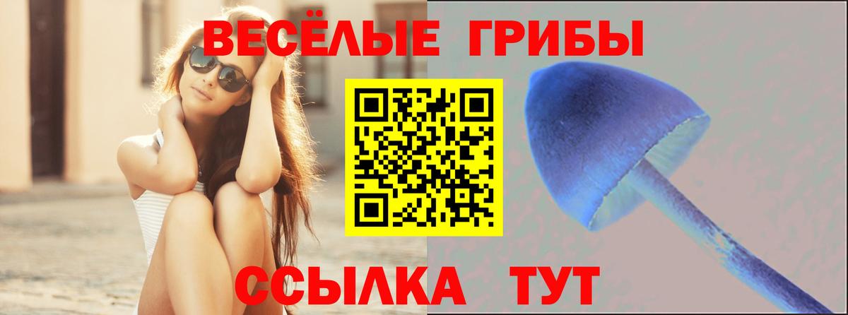 наркота  Псилоцибиновые грибы Psilocybine cubensis  Вход с VPN  Галлюциногенные грибы MAGIC MUSHROOMS  Черногорск 